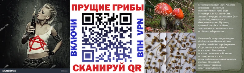 Псилоцибиновые грибы GOLDEN TEACHER  OMG маркетплейс  Сясьстрой 
